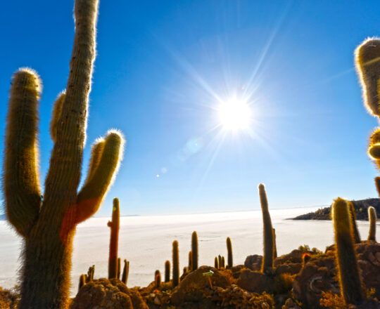 Salar de Uyuni Bolivia